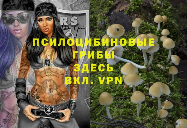 сатива Корсаков