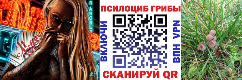 Галлюциногенные грибы MAGIC MUSHROOMS Курильск