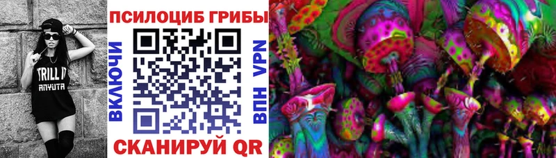 что такое наркотик Курильск Галлюциногенные грибы Psilocybe